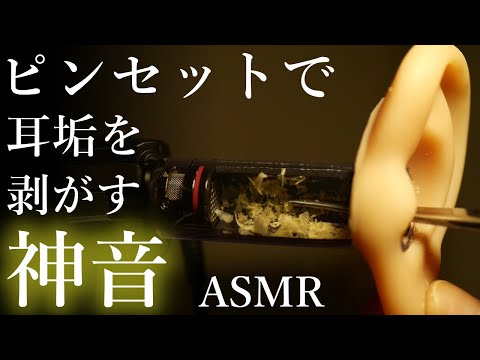 【ASMR耳かき】⚡危険⚡一度はまると病みつきピンセットの神音😍Addicting tweezers sound✨병에 걸리는 족집게 소리／ No talking／ティングル／おすすめ