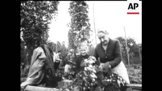 HOP HARVEST