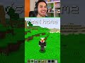 IL NUOVO MONDO DEI FAN SU MINECRAFT