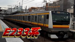 E233系N21編成 谷保