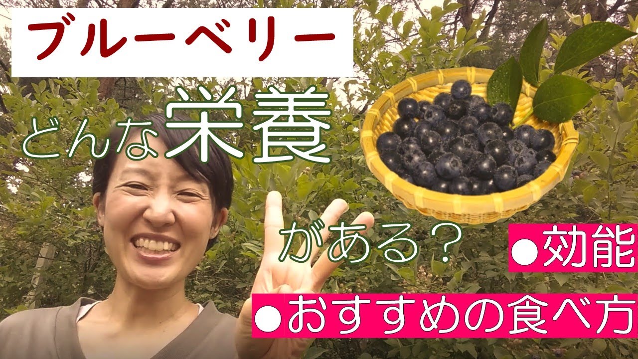ブルーベリー の 栄養