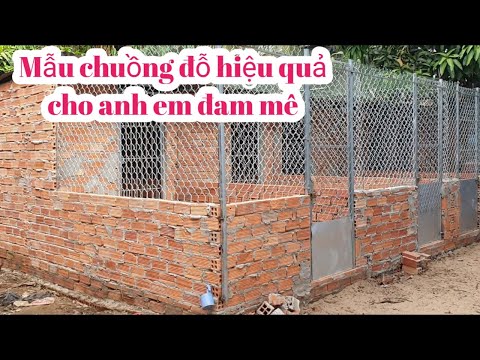 Nuôi gà, cách thiết kế chuồng đỗ hiệu quả cho anh em đam mê | Foci