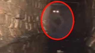 5 Mysterious Creatures Caught On Camera \& Spotted In Real Life!