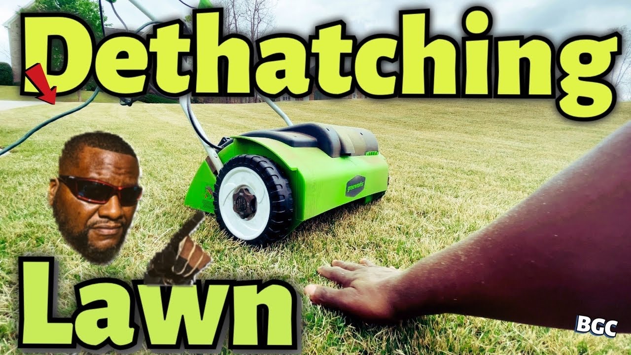 Dethatching your lawn for Cheap but with a cord? Greenworks Electric