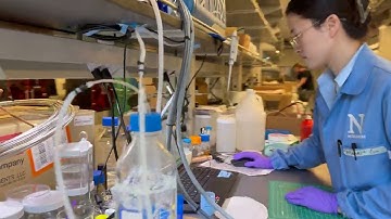 Trienens Institute: Flex Lab