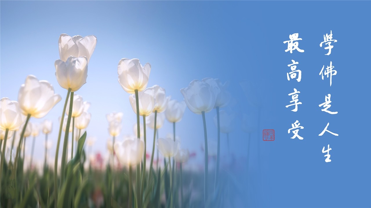 淨語錄 | 本本分分過日子，別自找苦吃