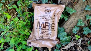 SPICY BEEF & BEANS #24 MRE