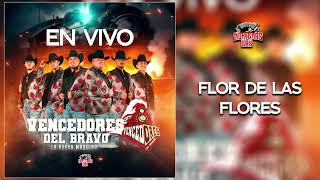 VENCEDORES DEL BRAVO -FLOR DE LAS FLORES (EN VIVO)