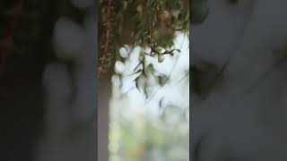 Serenity Ue5 Architectural Cinematic Short Film Interior Design And 3D Visualization