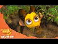 Giraffe's Glow Up - Jungle Beat: Munki and Trunk | Kids Animation 2021