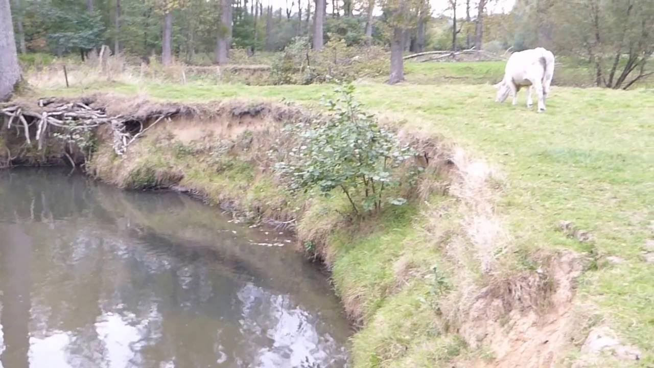 rivier / river De Geul Epen Zuid-Limburg - YouTube