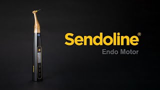 Watch Es Endo video