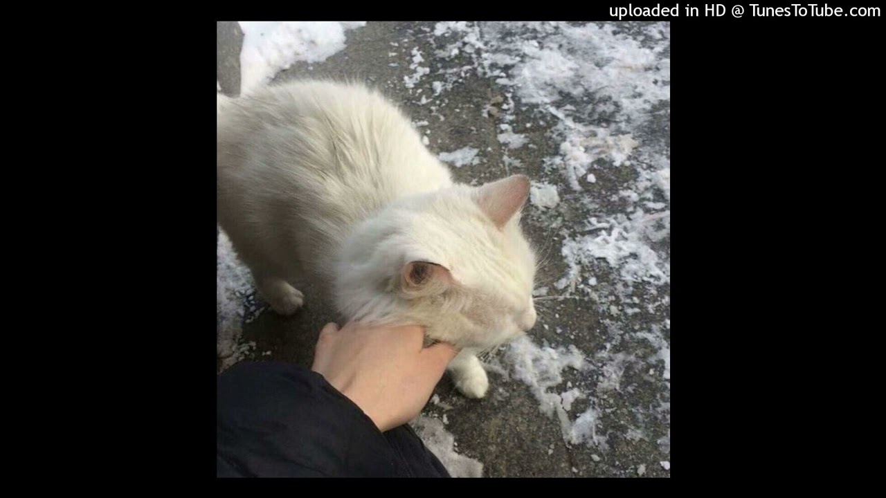 yung frendi x corey lingo x diary x pluggnb type beat 