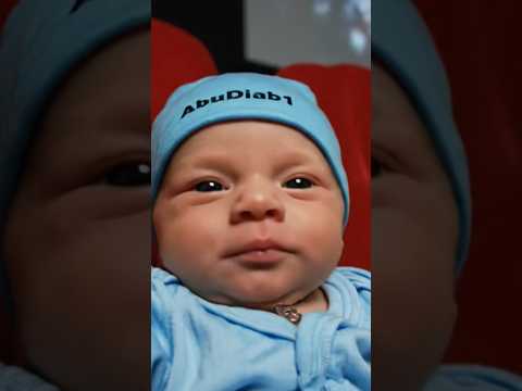 دعبول وبهلول في السينما Baby اهميه Cuteanimal Cute اعتني Cutebaby Funny 