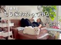 暇やのに動かれへんのホンマ何？？