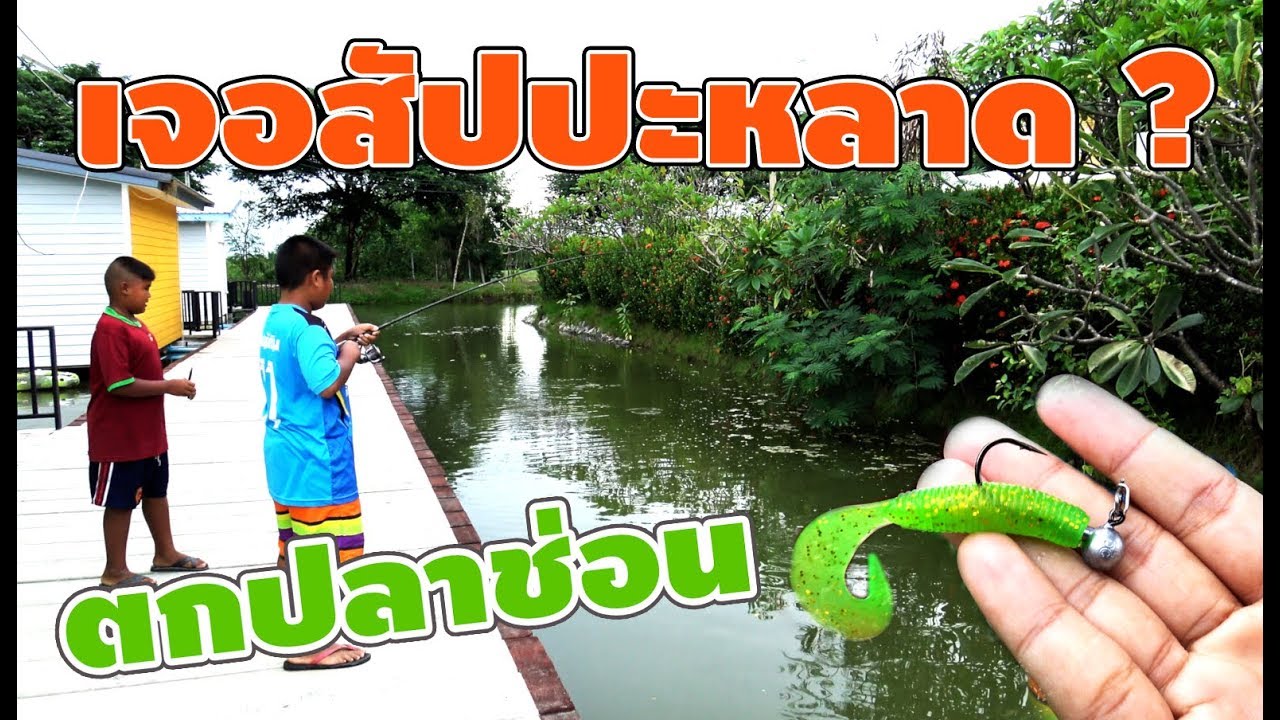 เด็กหัดตกปลาช่อน แต่เจอตัวอะไรไม่รู้ !!!!