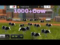 Fs18 Purchase 1000+CowGameplay! Farming Simulator 18 Gameplay  Timelapse #fs18