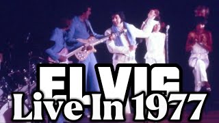 Elvis Presley - February 13th, 1977 | Jailhouse Rock & Blueberry Hill