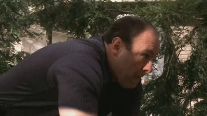 Tony Hides Money - The Sopranos HD