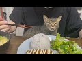 てんちゃんのおねだりに夫は耐えることができるのか?