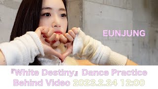【EUNJUNG】『White Destiny』Dance Practice Behind Video