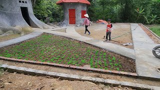 Create stone walkways and plant grass in the yard