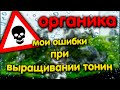 Мои ошибки при выращивании тонин и сингонантусов. Осторожно с органикой в аквариуме!!!