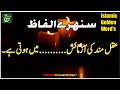 Islamic golden wordssunehre alfaz     hasnain writes05