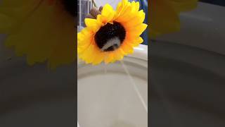 Товары по выгодным ценам.Ссылка в профиле #обзор #покупки #покупкиАлиэкспресс #алиэкспресс #лучшее