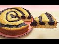 Vanilla Cake with Chocolate Swirl!