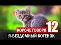 КОРОЧЕ ГОВОРЯ Я БЕЗДОМНЫЙ КОТЕНОК 12 [От первого лица] История одной жизни Я БЕЗДОМНЫЙ ЩЕНОК