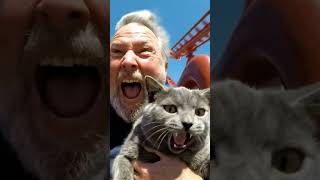 POV: You brought your cat on a rollercoaster 😂