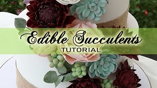 Fondant/Gumpaste Succulent tutorial (Extremely easy technique)