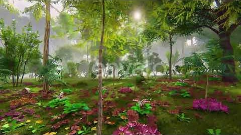 Forest And Fog 2k | Motion Graphics - Envato elements