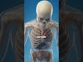 Who Dies First: Smokers vs Vapers (Shocking Truth)