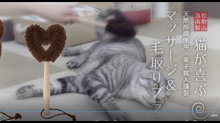 たわしでねこをブラッシング！ペットプロ 猫が喜ぶマッサージ＆毛取りブラシ