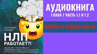 Как устроен мозг. НЛП работает аудиокнига слушать онлайн бесплатно.