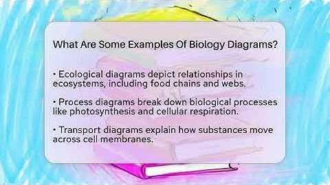 What Are Some Examples Of Biology Diagrams? - High School Toolkit