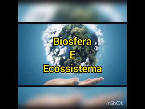 Vídeo: Por Que A Biosfera é Chamada De Ecossistema