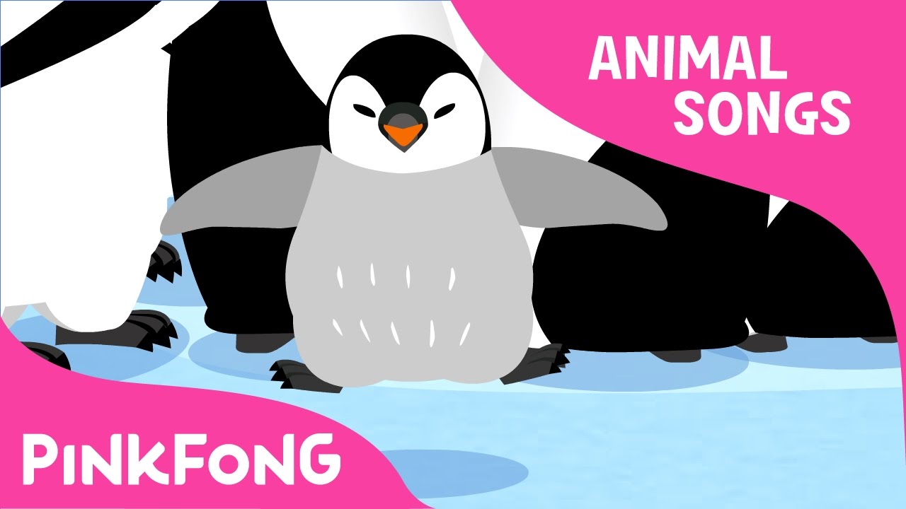 Waddle Emperor Penguin | Penguin | Animal Songs | Pinkfong Songs for Children