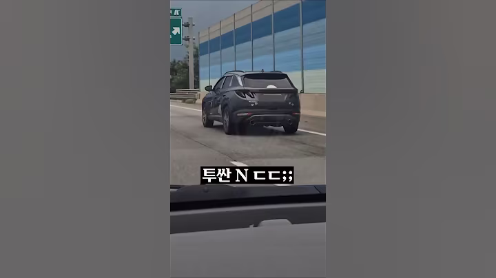 현대가 곧 만든다는 투싼N 실물 ㄷㄷ