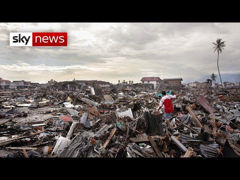 Video: Cómo dos hermanos huérfanos sobrevivieron a un tsunami y comenzaron una compañía de flop flop de un millón de dólares