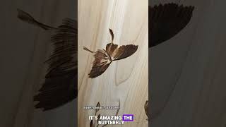 The Woodworking Technique You've NEVER Seen Before Wealth