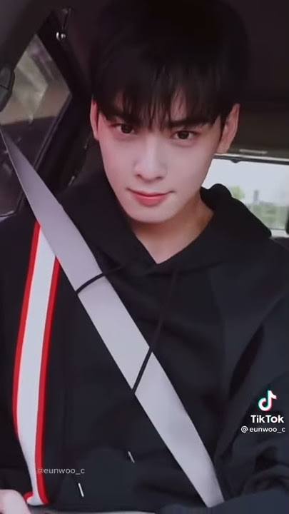 #truebeauty #Chaeunwoo  Cha Eun Woo  Tiktok