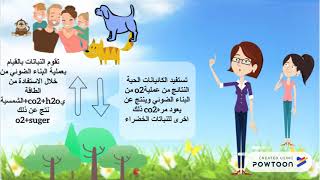 دورة الكربون والاكسجين