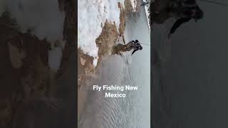 Fly Fishing Northern New Mexico