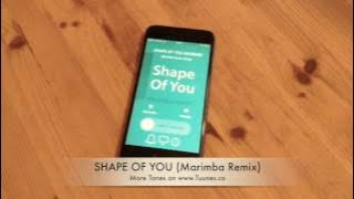 Shape Of You Ringtone (Ed Sheeran Tribute Marimba Remix Ringtone) • For iPhone & Android