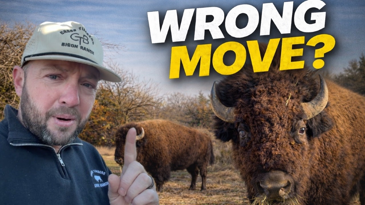 Is This the Right Move for Our Herd?