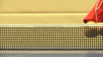 Portrait Bastian Steger