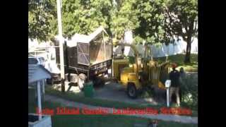 Best Tree Service